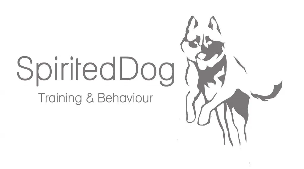 Dog Training & Behaviour