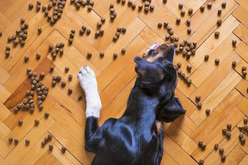 scatter-feeding